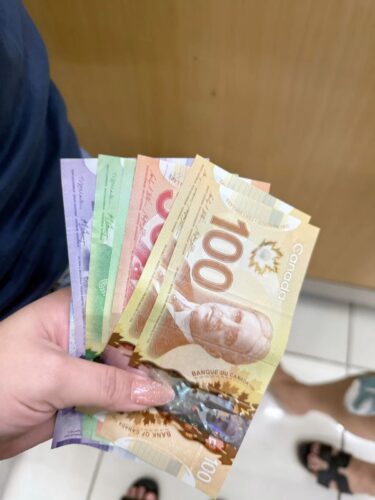 Canadian Dollar CAD Banknotes Movie Props photo review