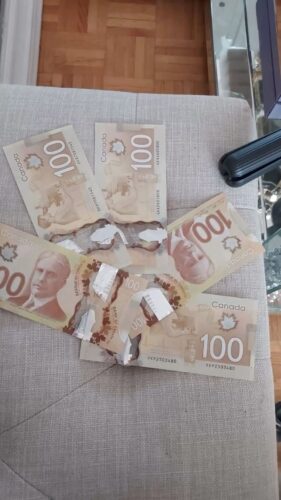 Canadian Dollar CAD Banknotes Movie Props photo review