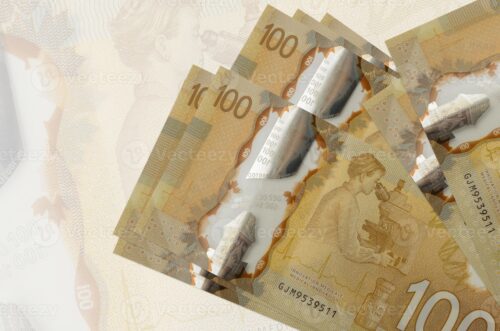 Canadian Dollar CAD Banknotes Movie Props photo review